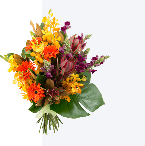 Image module