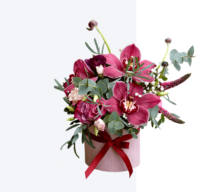 Image module